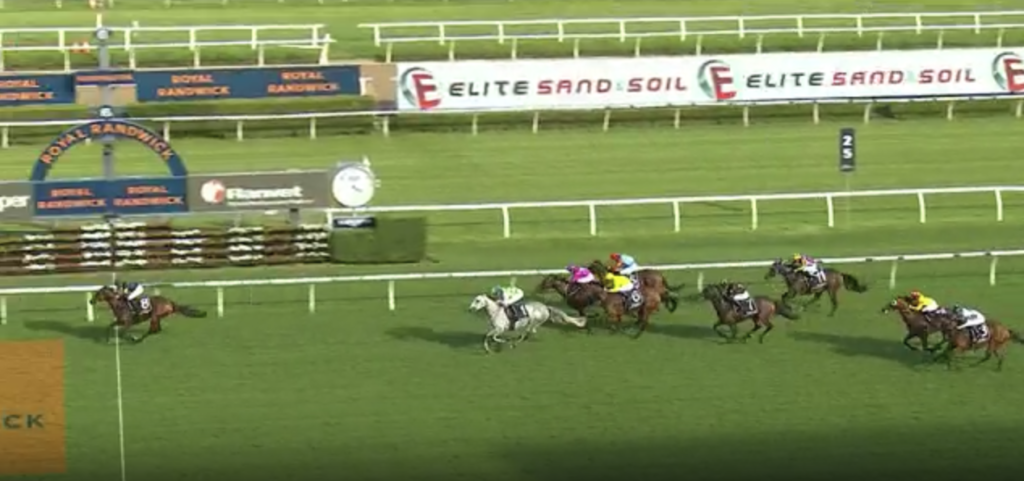 Screen Shot 2023-07-06 at 1.06.25 pm